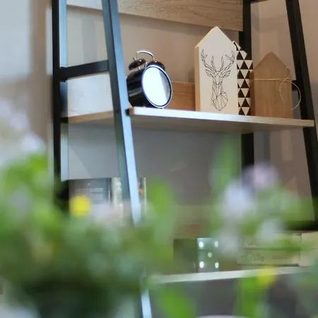 Mountsea ,karpacz Ogrodnicza