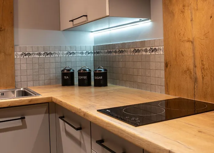 Mountsea ,karpacz Ogrodnicza 公寓 *