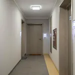Mountsea ,karpacz Ogrodnicza * カルパッチ
