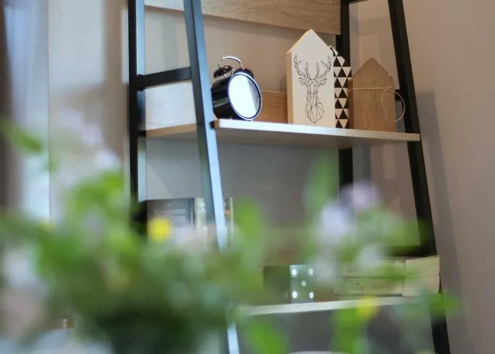 Mountsea ,karpacz Ogrodnicza